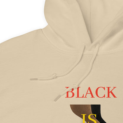 Draw string hoodie inspirational statement. Shop www.brightcoloredwings.com Black History Month 2025